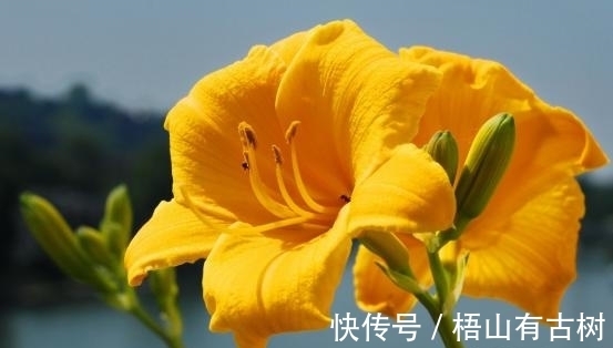 对方|2周后,繁华落幕,爱已成殇,心灰意冷,果断转身,余生两不相欠