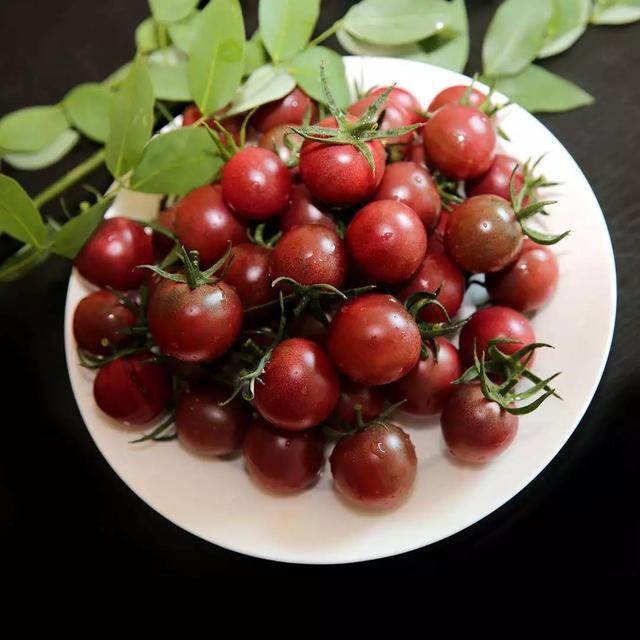 阳台种盆菜,比花还好看,结果还能吃,别提多美了