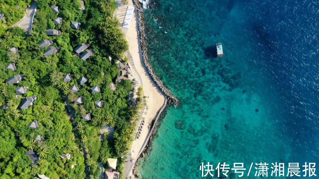 分界洲岛|海南网媒行｜这个海岛一界两片天，潜水可“穿越”到远古