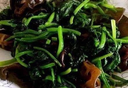 木耳|人到中年,推荐常吃3种食物,补气益血,延缓衰老,补益身体