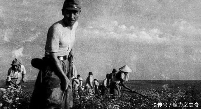 战争中|二战到底有多少日军在中国战场被消灭, 日本欺骗了全世界!