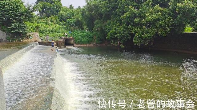 每年都有钓鱼人被蛇咬伤而倒下,最可怕的其实被我们忽略掉了!