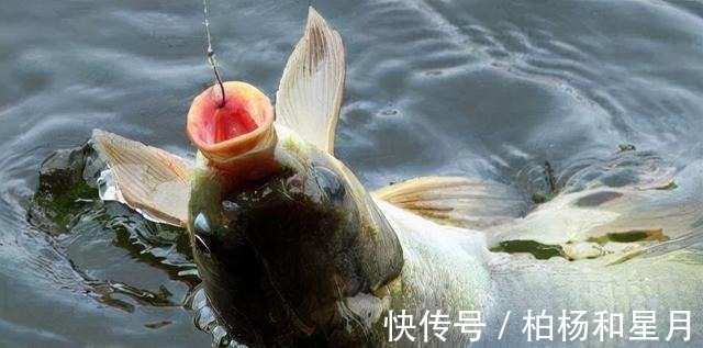 秋末初冬野钓,试试羊油蚯蚓,效果谁用谁知道!