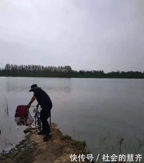 钓位|本味三兄弟,助我擒板鲫!