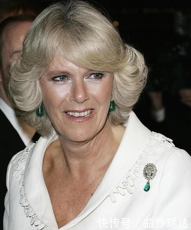 戴安娜生前的经典项链,被卡米拉改成胸针,却戴一次被人骂一次