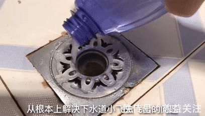 风油精|风油精和牙膏泡一泡,原来这么好用解决了很多人的烦恼