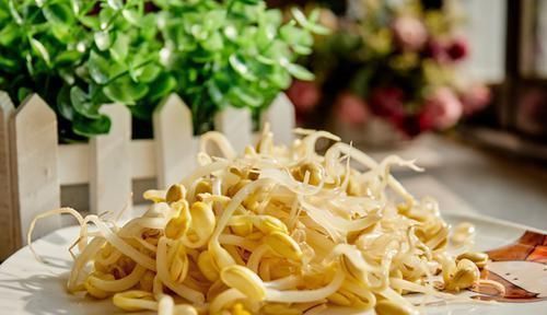 黄豆|食物发芽后就不能吃了?提醒:3种食物发芽,不仅没毒营养还丰富