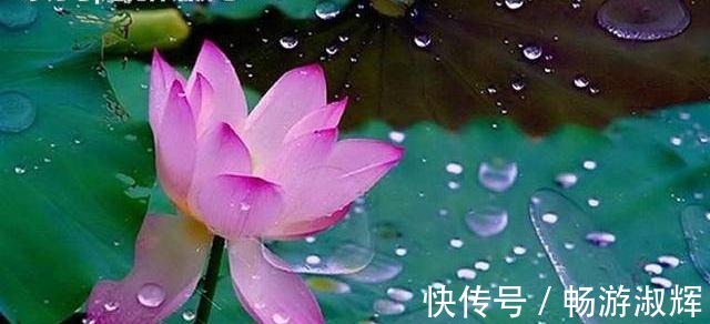 经典&佛家六大经典禅语,体悟智慧与慈悲!