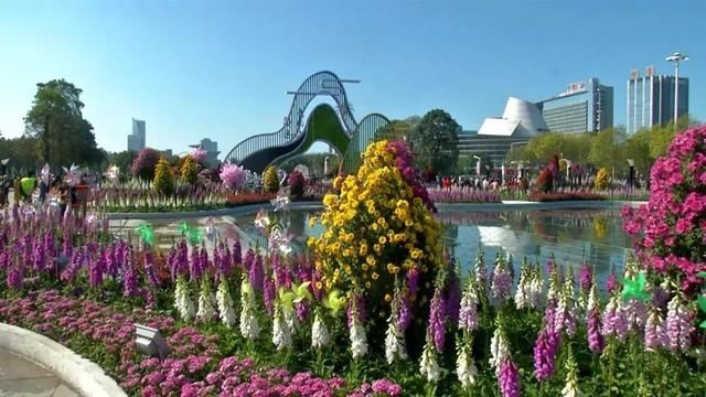 低薪|东莞“小蛮腰”刷屏朋友圈！牛年这些景点很“红”