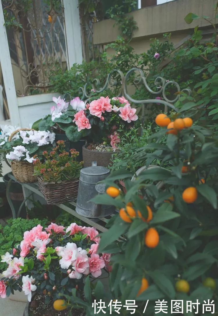 130㎡大露台,花1年改造成“花草蔬果园”,体验屋顶上的田园生活