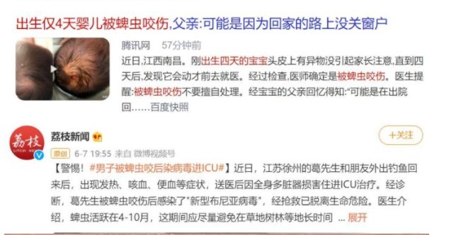 黄老太|女子眼角长“肉球”，一查吓坏了…竟是活虫！这种虫子严重可致命