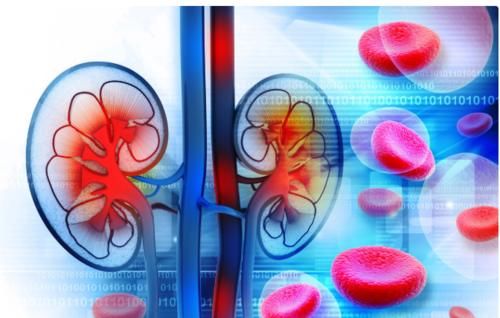 补肾|姜吃对了,就是男人的“补肾良药”!这2个时刻吃,可以事半功倍