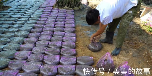 院子|自己动手捯饬院子,塑料袋里灌水泥,铺满整个地面,比青石板结实