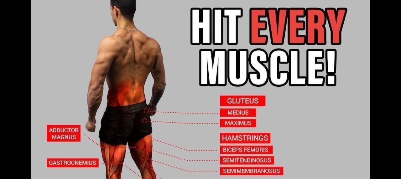 腿弯举|全方位打造打桩机一般的大腿,这4个细节千万别忽视