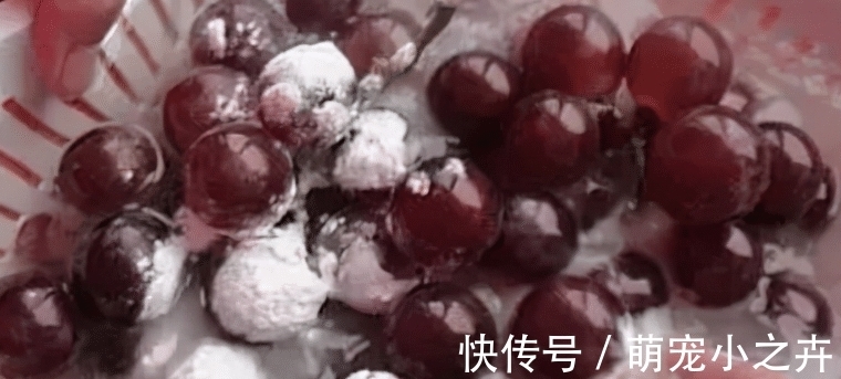 果农|吃葡萄时，用盐还是面粉洗好？果农：错，该这样洗，吃着才放心
