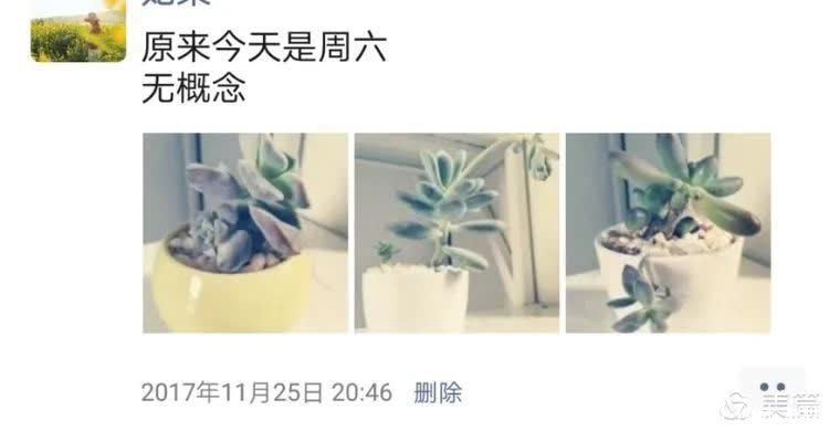 懵懵懂懂入肉坑，跌跌撞撞养多肉