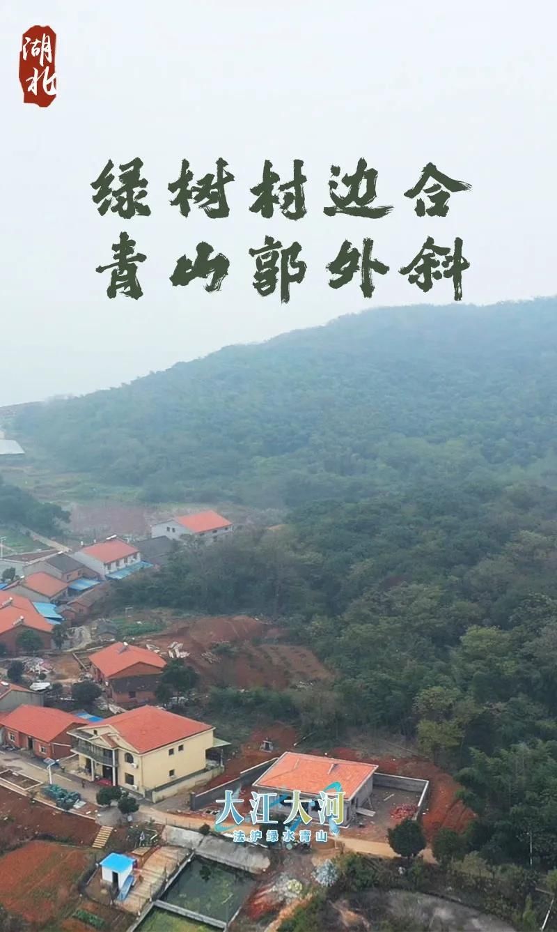 虽是冬景，却似春华丨“大江大河”湖北站海报