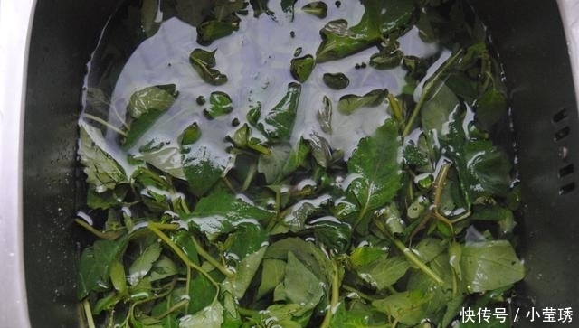 吃肉|天气炎热, 吃肉不如喝这汤, 清爽甘甜还解暑, 一碗下肚全身舒坦