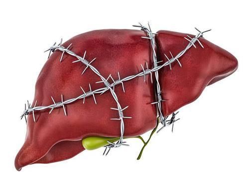 视网膜|养肝“冠军”找到了,不是胡萝卜,平时可劲吃,肝脏感激涕零