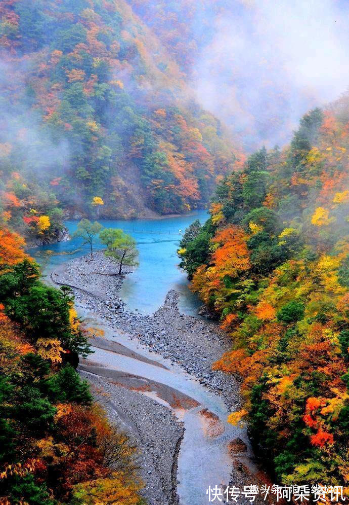 吊桥|寸又峡：日本无人问津的大山里，私藏着温暖与彩林共存的绝美景色