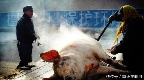 东北|舌尖上的美食-正宗东北杀猪菜