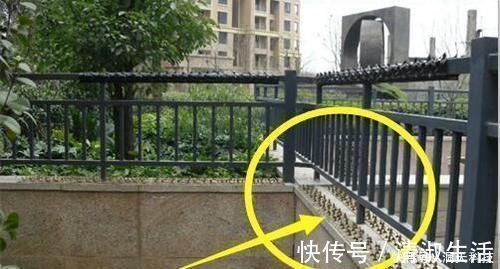 防盗网|头一次见有钱人家阳台不装防盗网,这样装太聪明了,小偷都怕哭了