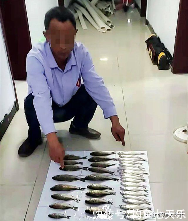 钓友|钓了5斤鲫鱼和白条，被罚4000元！在长江流域钓鱼可不是闹着玩的