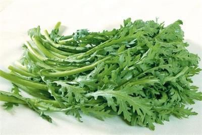 大白菜|各种蔬菜营养深度分析,这5种蔬菜是营养冠军,补钙强骨都靠它