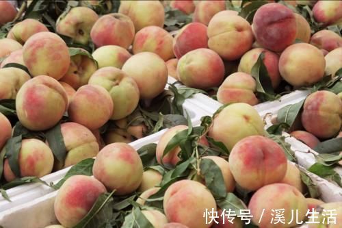 桃子|新鲜桃子上市，买软的还是硬的？分享5个挑选窍门，甘甜又多汁