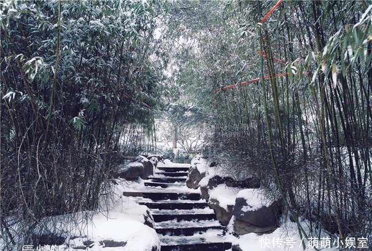 雪景|西安的雪景，可能是冬天最高级的美！随便一拍都是绝美风景