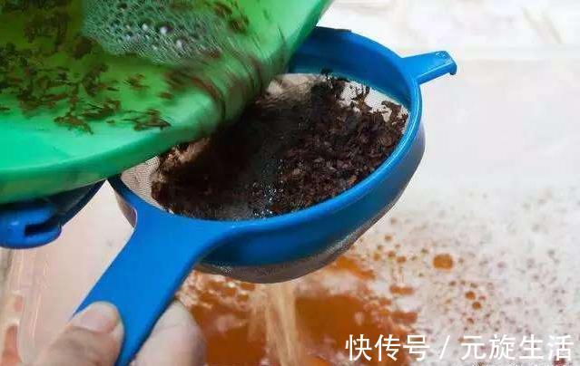 教你1分钟自制“杀虫水”，浇水加1勺，根壮不生虫！