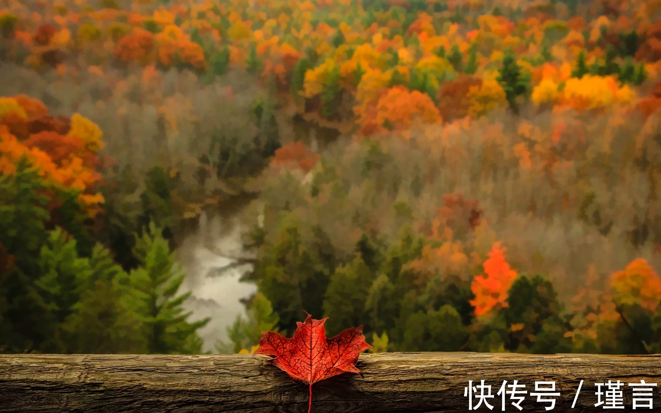 双子座|12月，前途无量，立志出人头地的星座，正能量满满，永不言弃