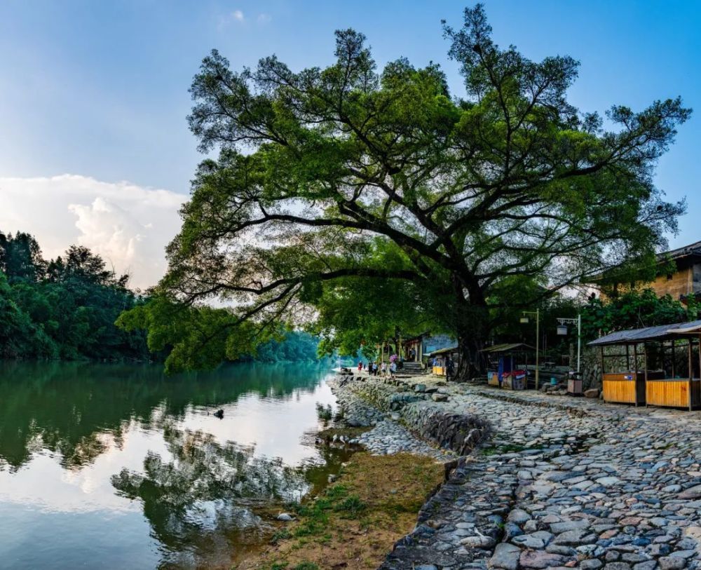 这些影视剧都在福建取景！你都知道几个？