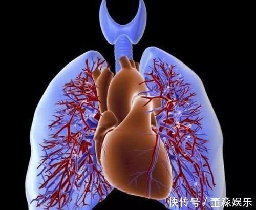 猪肺|肺部干净的人，都有这个三个“共性”，若能占上一个，也要恭喜你