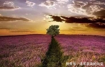 陆游的两首鹊桥仙,说出了人生的真谛,现在读还不算太迟