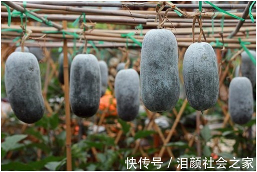 毛细血管|38岁男子患高血压,2个月肾衰竭离世,医生提醒:常做“2”事,肾早晚受伤害