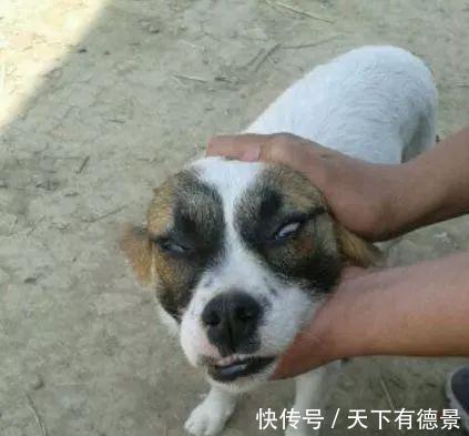 |幽默段子:我就想知道,你们吃花生豆这样吃吗