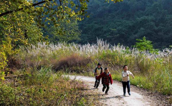 俗语“山上不捡肉,水中不捡鱼”,有道理吗?老祖宗的话值得一看