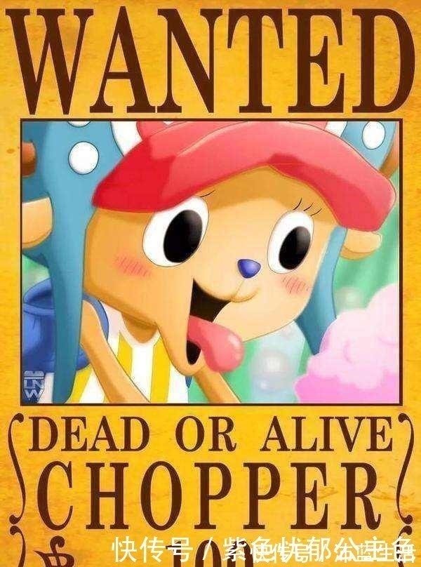 海贼王|海贼王悬赏金倒数前5名,战力像是反着排的,乔巴战力遥遥领先