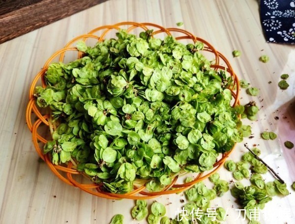 菠菜|春天唯一不含“草酸”的野菜，钙是菠菜3倍，正当季，不懂吃可惜