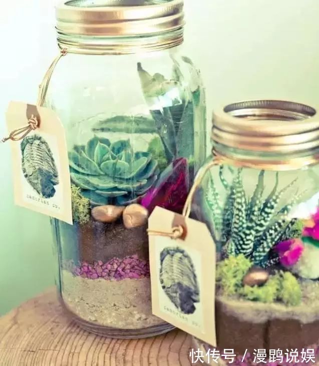 小花|别再花钱买普通花盆了,你意想不到的种花神器!