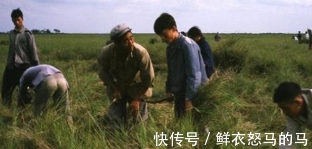 治病$20岁知青张志远为报恩,“嫁”31岁带4娃寡妇留大山,至今不悔