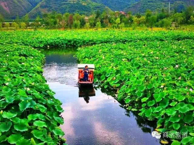 夏日|大暑已至！来商洛，一秒还你清凉～