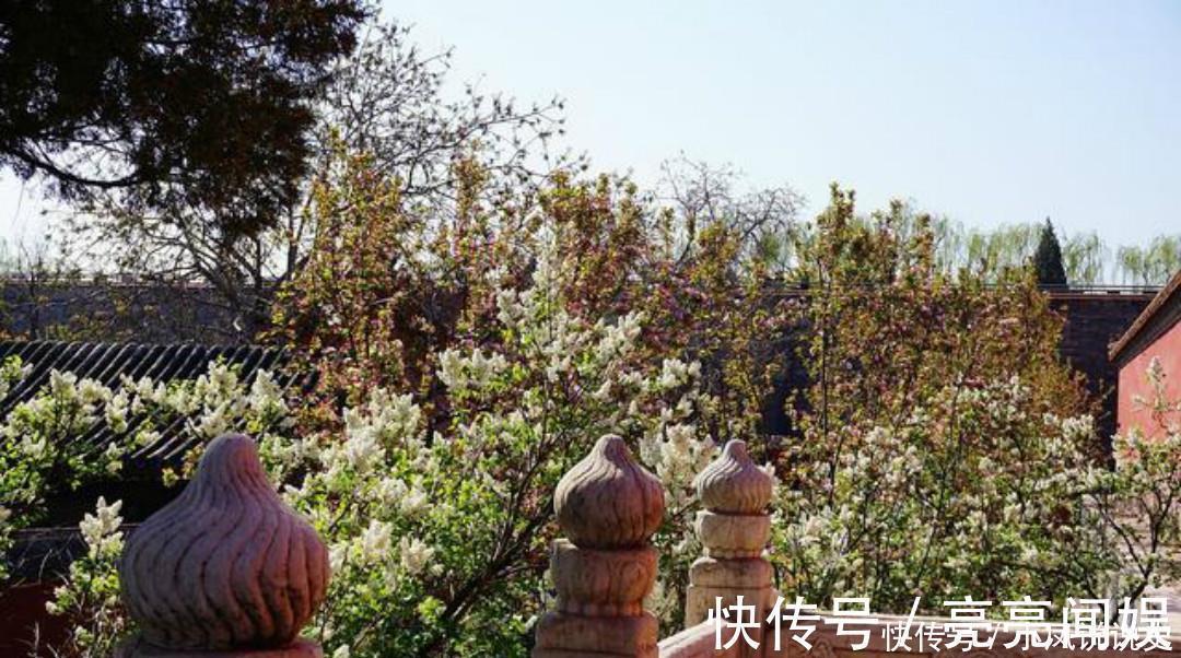 忧愁$岑参两首不可不读的经典,每一首都很孤独,写出了繁华过后的落寞