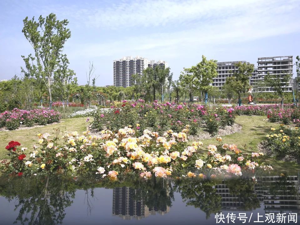 上师大|打卡！这里的繁花似锦，藏不住啦