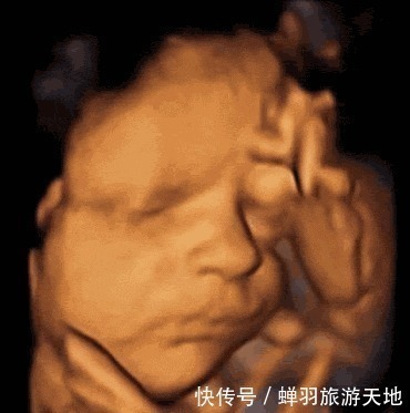 医生|除了睡觉胎宝一天都干啥医生胎儿“娱乐活动”丰富,忙到飞起