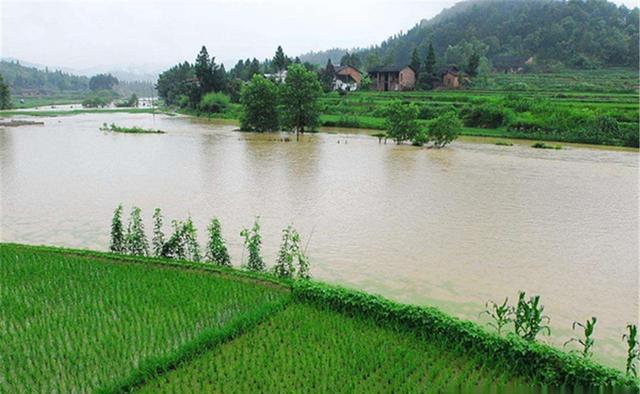 夏季|夏季野钓,钓位选择要灵活,天气不同、时间不同,出鱼位置有变化