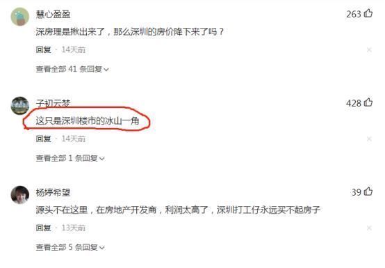 房理|深圳又发生一起“深房理”?坚定“房住不炒”切忌“投机取巧”