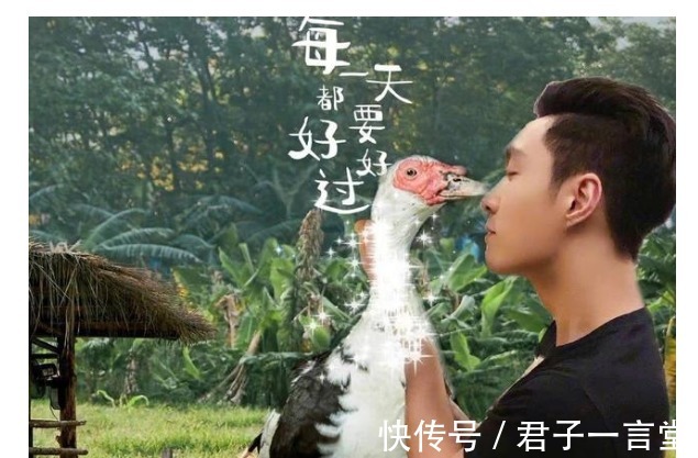 szd|張藝興與彩燈的相愛相殺,粉絲亂嗑cp張燈結彩是真的