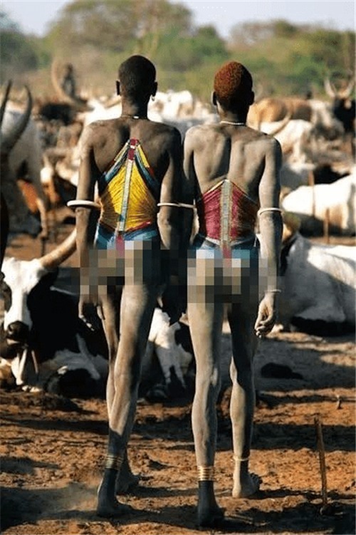 水平线|世界上唯一的“巨人族”,平均身高超1米8,娶老婆有一不成文规定